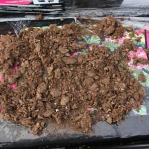 Fagerhult spagnum medium ugødet rhododendron