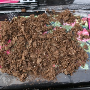 Fagerhult spagnum medium ugødet rhododendron